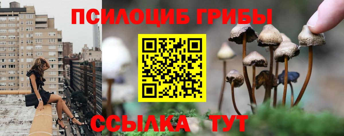 Киреевск  Псилоцибиновые грибы Cubensis  Вход с VPN 