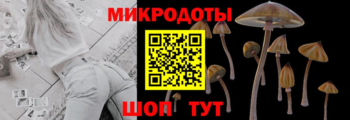 Псилоцибиновые грибы GOLDEN TEACHER Киреевск